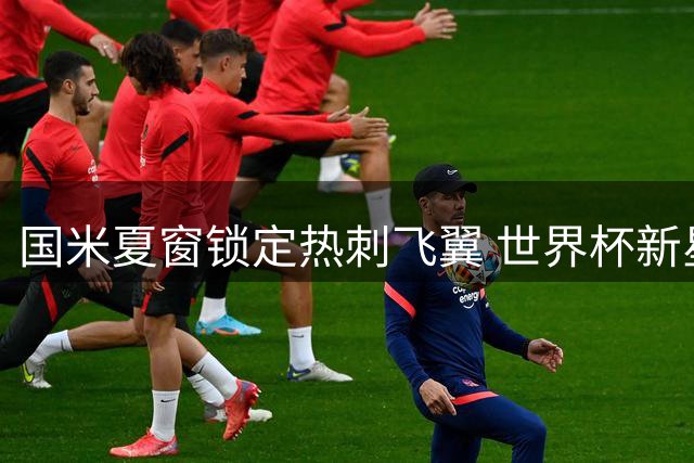 国米夏窗锁定热刺飞翼 世界杯新星或成防线关键拼图
