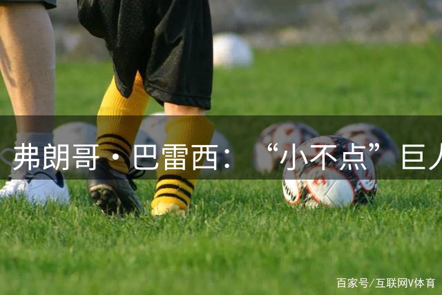 弗朗哥·巴雷西：“小不点”巨人，永远的队长