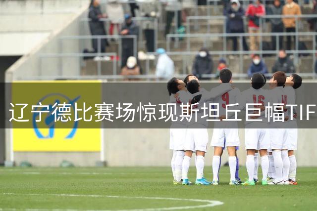辽宁德比赛场惊现斯坦丘巨幅TIFO，球迷热情点燃梭鱼湾